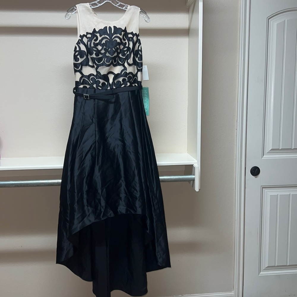 Black and tan dress